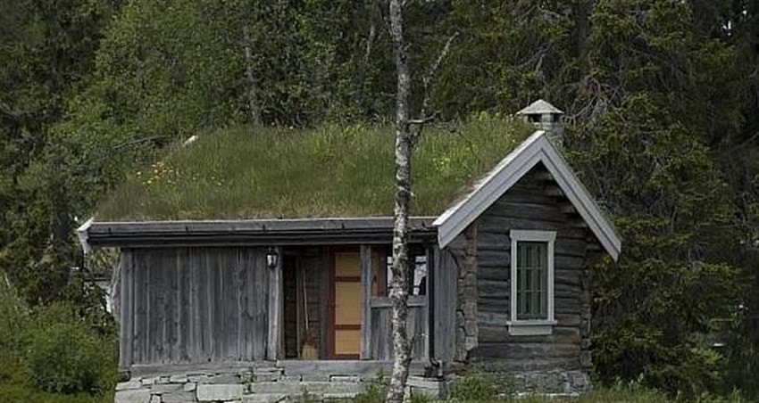 Sommerbilde av anneks Galleribilde