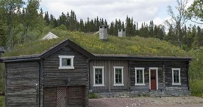 Sommerbilde Galleribilde