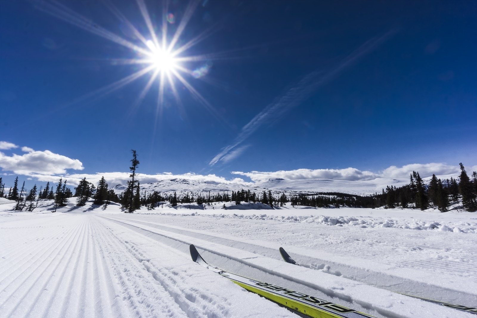 I Høgevarde hytteområde finner du 50 km med flotte, preparerte langrennsløyper. Galleribilde