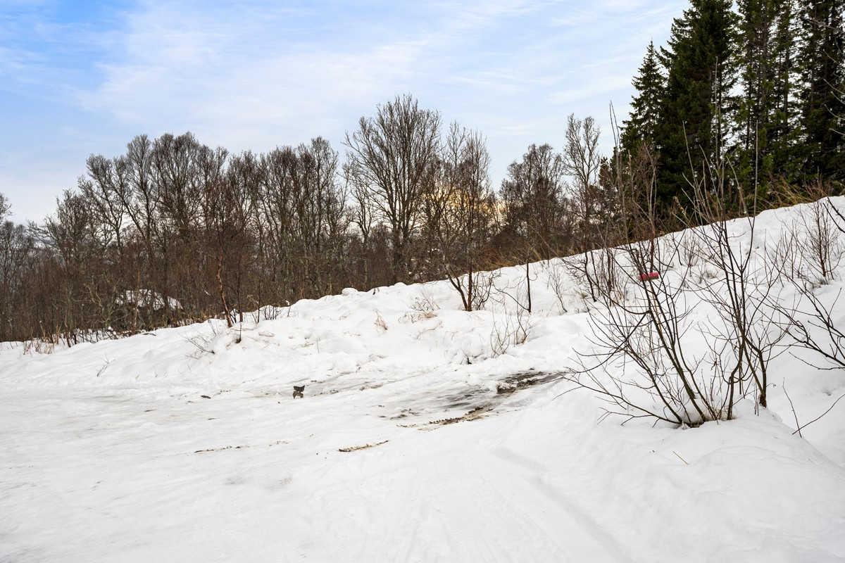 Det er gode bussforbindelser og Kvaløysletta ligger ca 11 km unna
