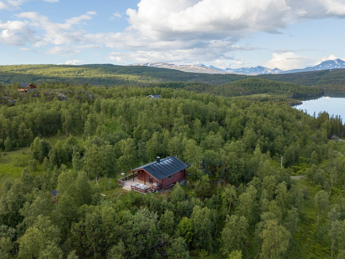 Området