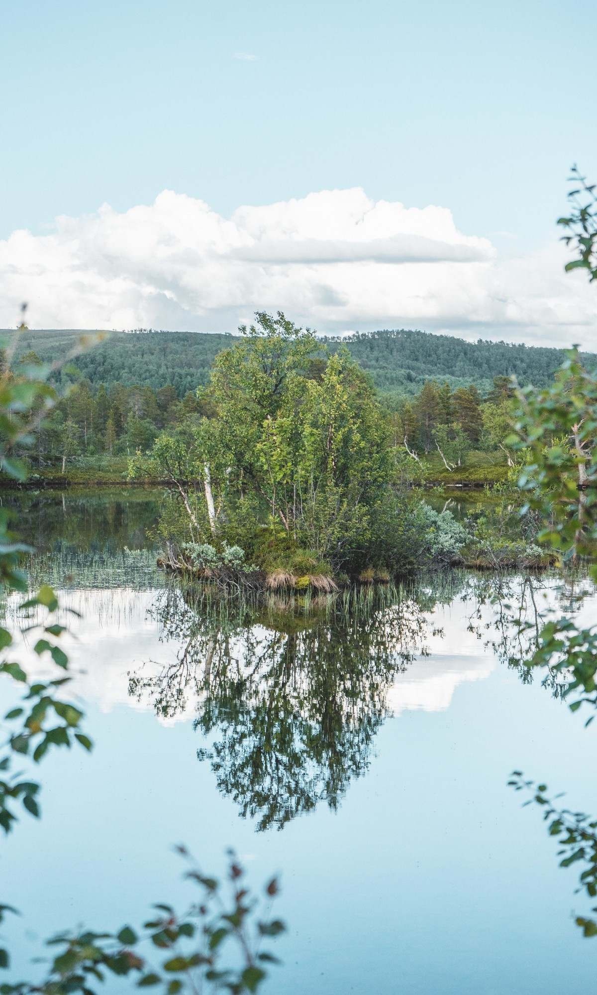 Området