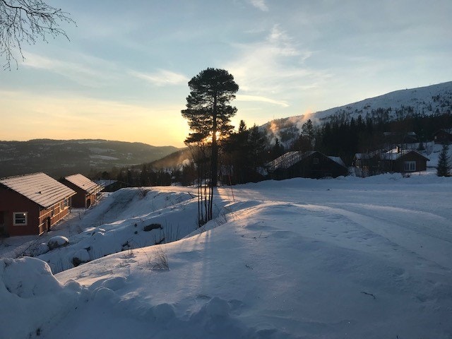 Mot sør. tomt 237 nærmest. bilde kl. 1100 Galleribilde