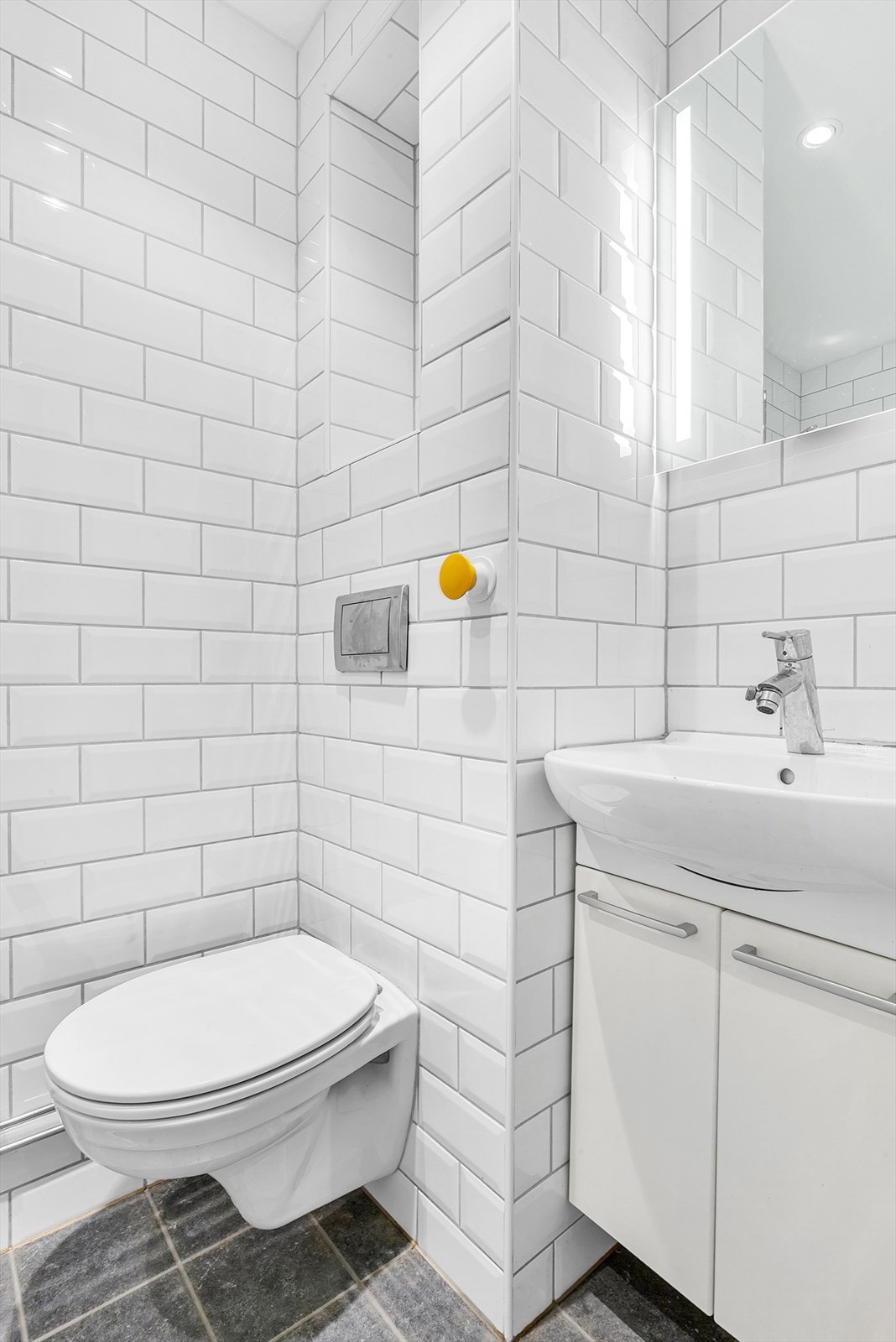 Servant med skap samt veggmontert wc Galleribilde