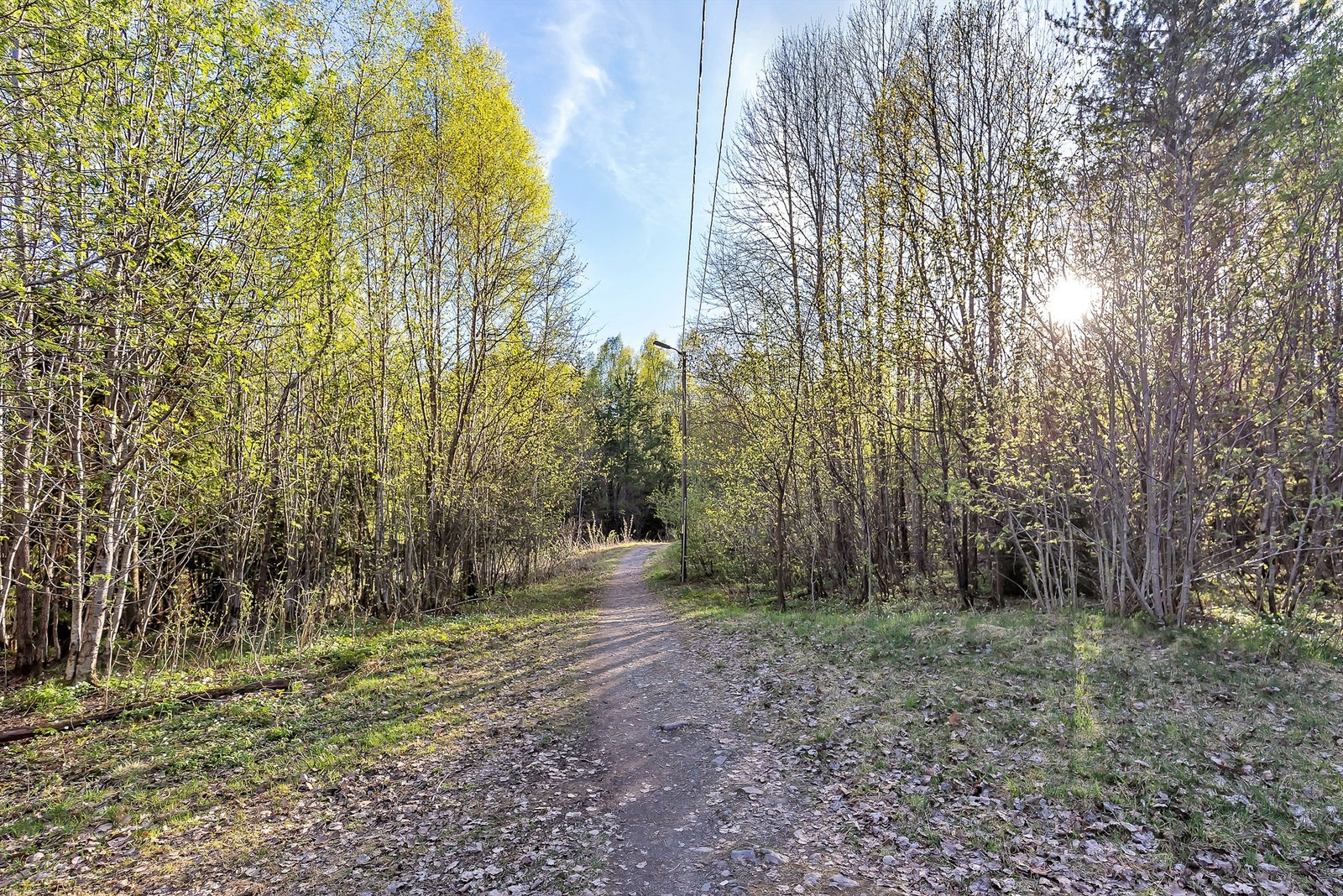 Flotte turområder i nærheten Galleribilde