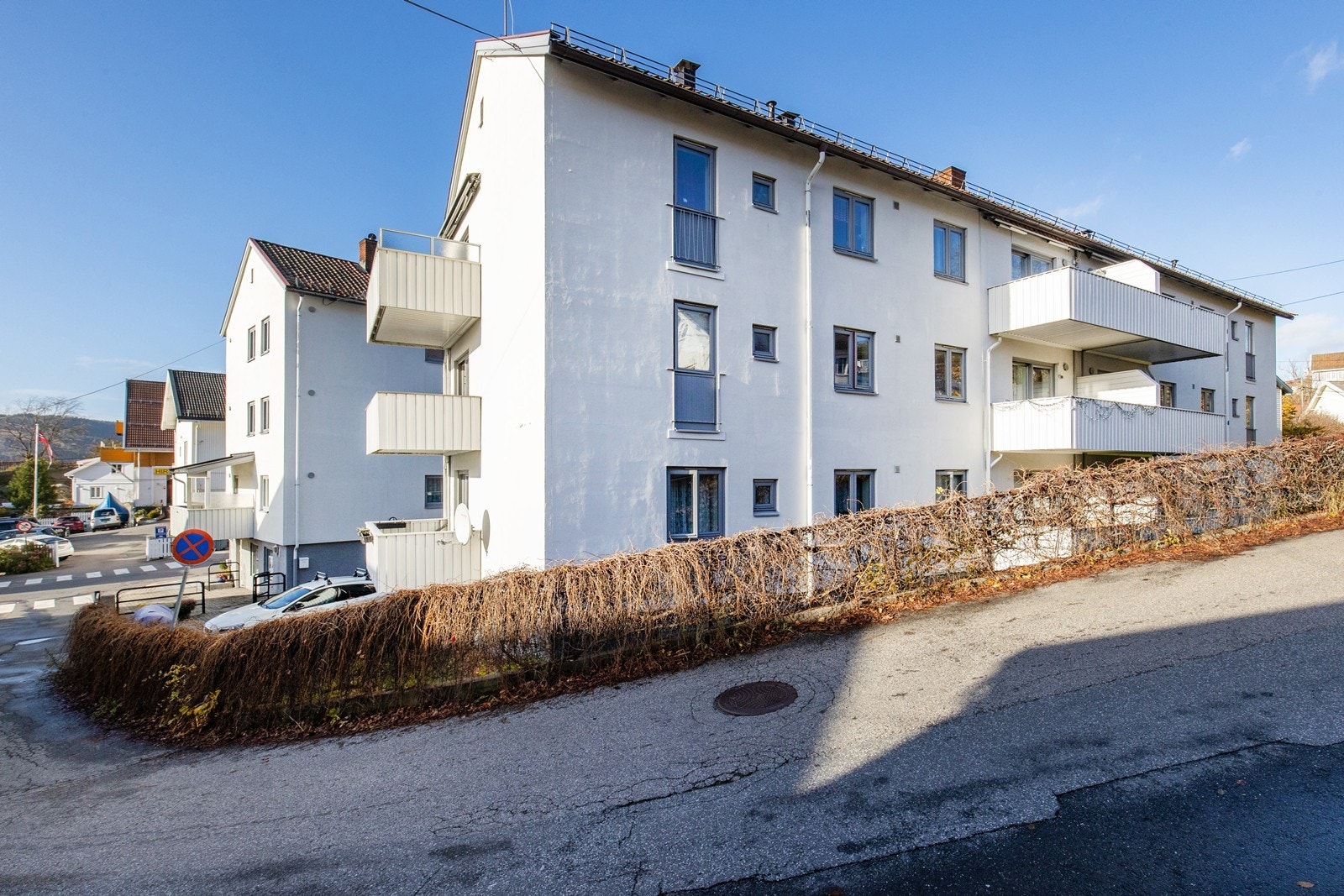 Faseden Galleribilde