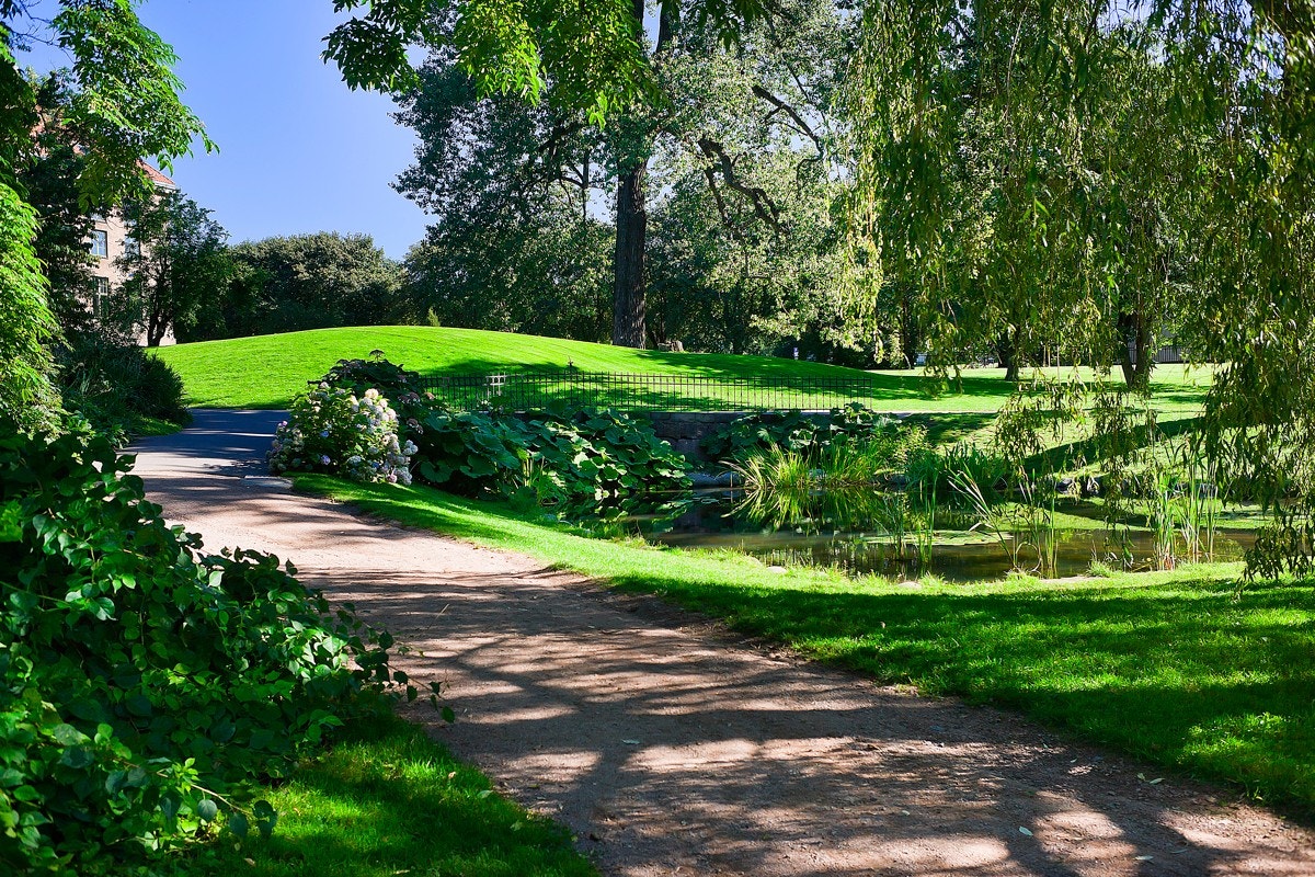 Hva med å nyte ettermiddagen i Botanisk hage? Galleribilde