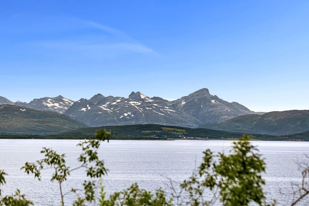 Sommerbilder - Gaten har ingen gjennomgangstrafikk og er svært barnevennlig