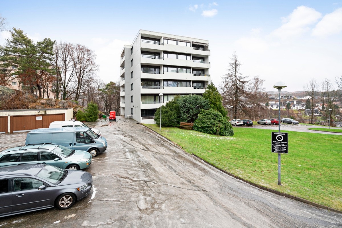 Felles uteområde for beboerne - foran blokken Galleribilde