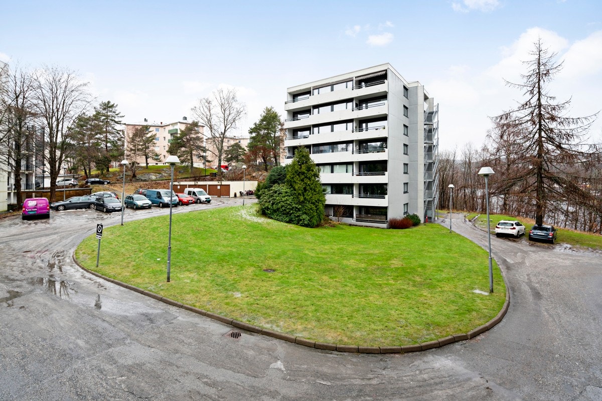 Felles hagedel for beboerne utenfor blokken Galleribilde