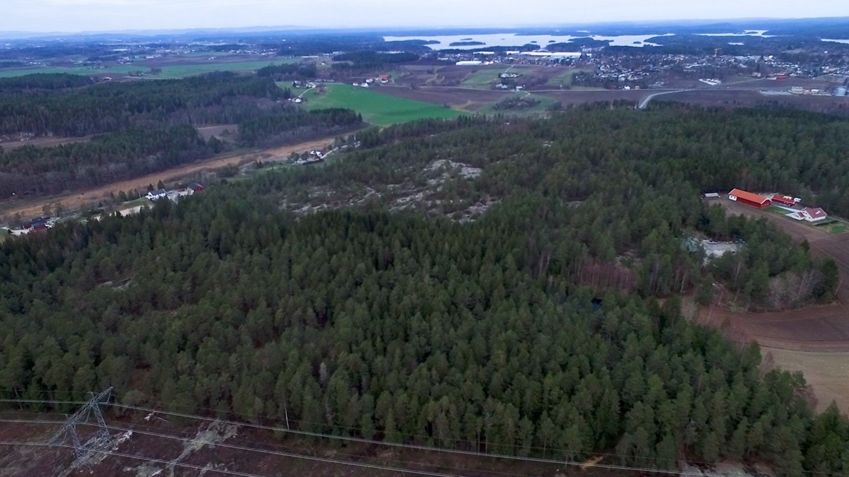 Området er høyliggende og sydvestvendt Galleribilde