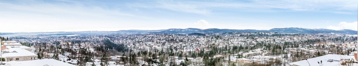 Panoramautsikt Galleribilde