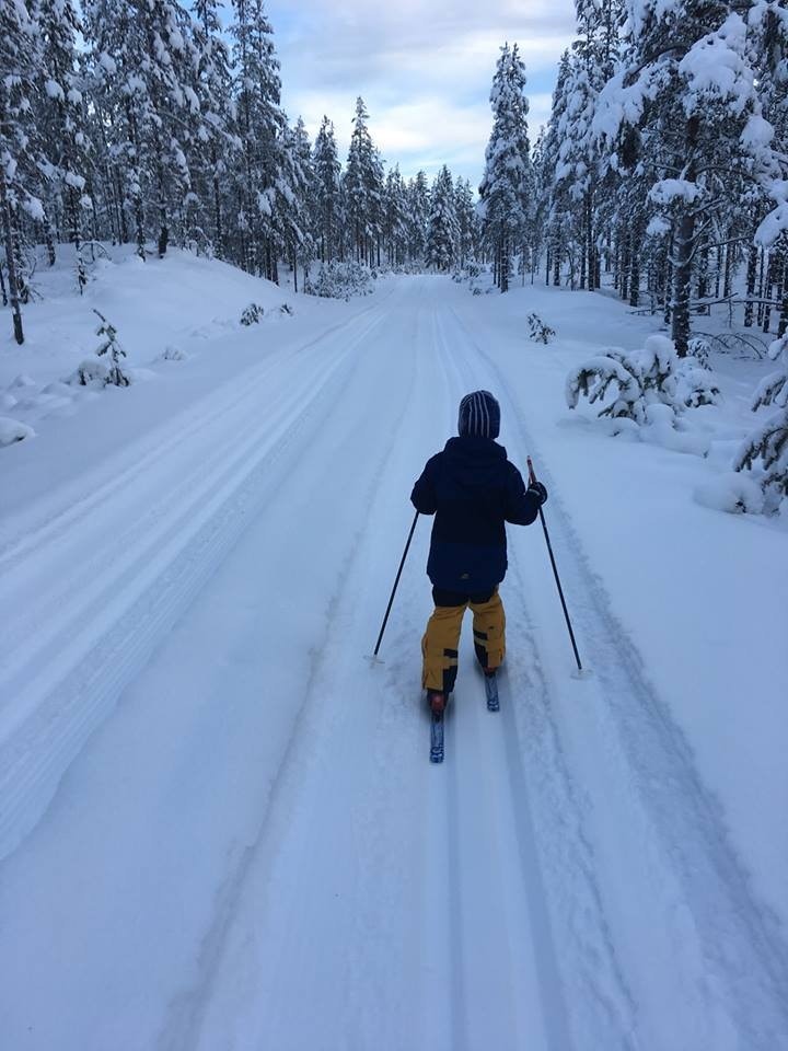 Skiløyper fra tomtegrense Galleribilde