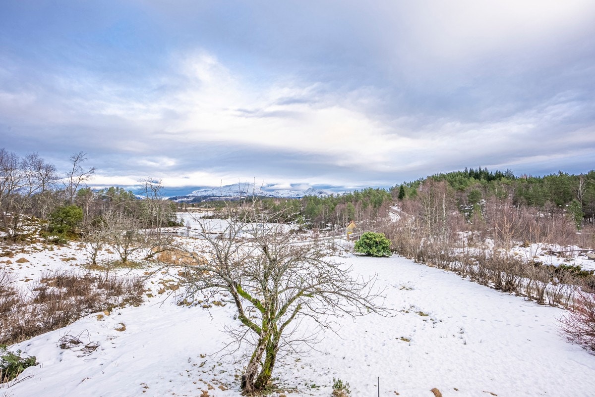 Utsikt mot nord fra bolighuset Galleribilde