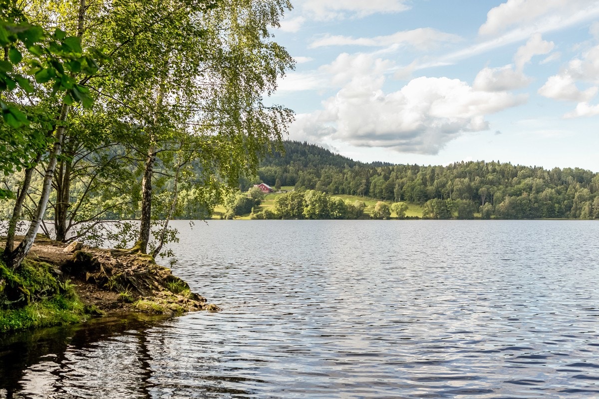 Det er også kort vei med bil eller sykkel til Semsvann, en populær friluftsperle som ble valgt til Askers tusenårssted ved tusenårsskiftet. Galleribilde