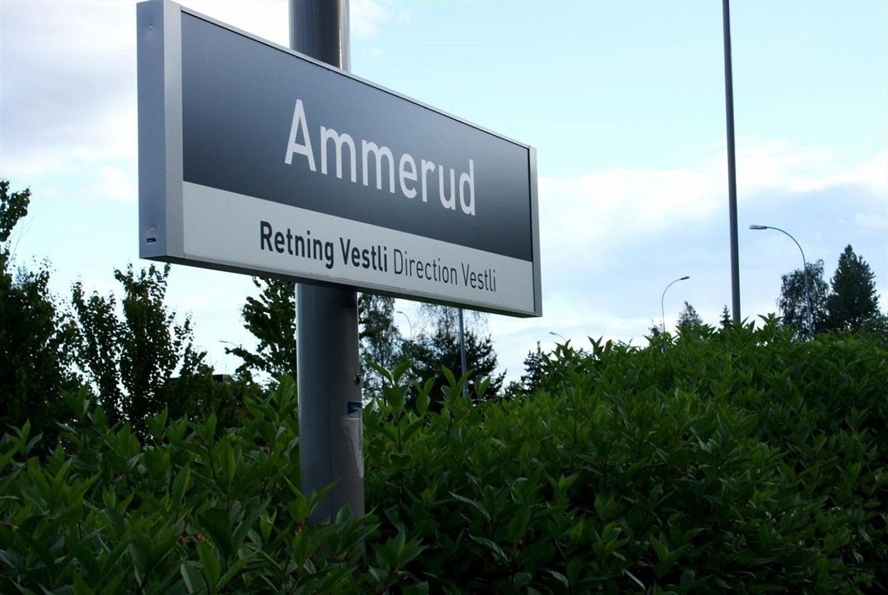 Ammerud T-bane ligger ca. 5-7 min i gangavstand fra boligen Galleribilde