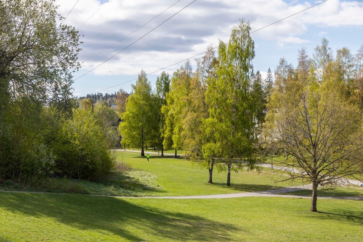 Fantastiske Mærradalen ligger rett ut fra eiendommen. Her starter alle gå-, løpe-, sykkel, eller skiturer. Galleribilde