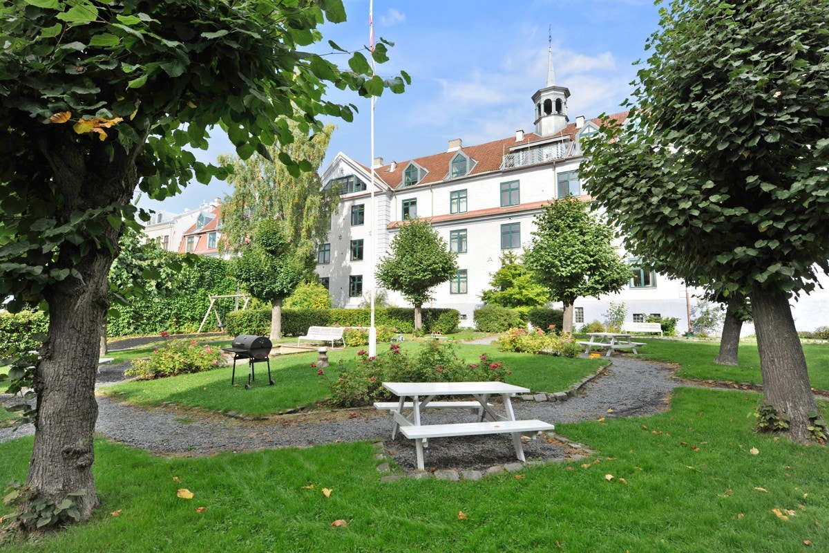 Sesongbilde av gårdsrommet. Galleribilde