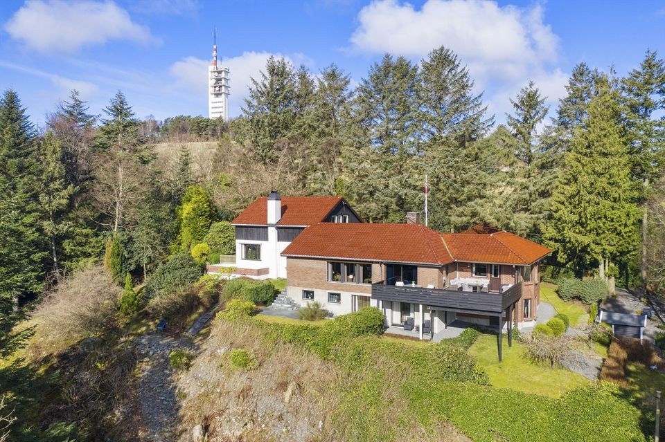 Nydelig natur og skog rundt huset. Galleribilde