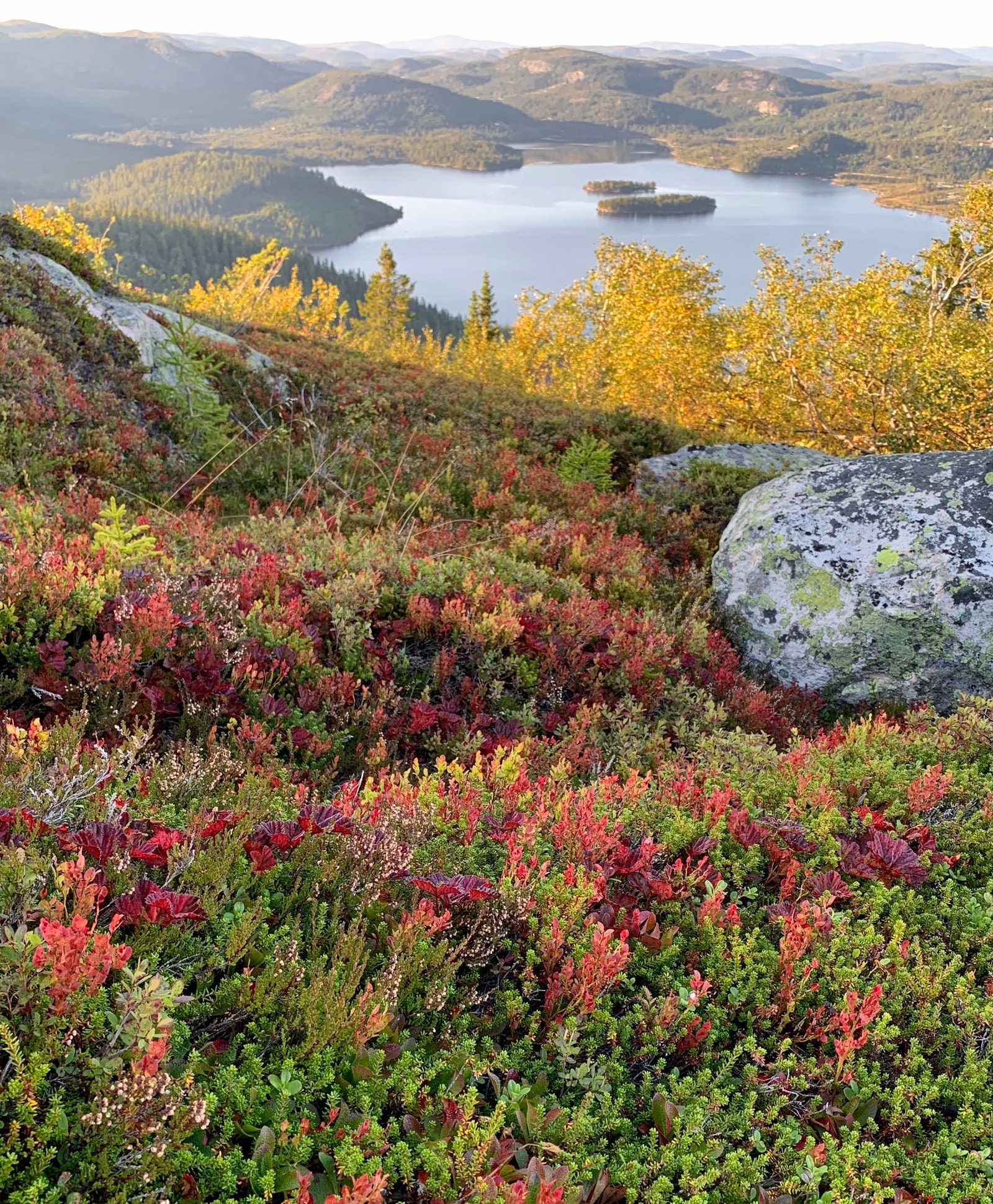 September i heia Galleribilde