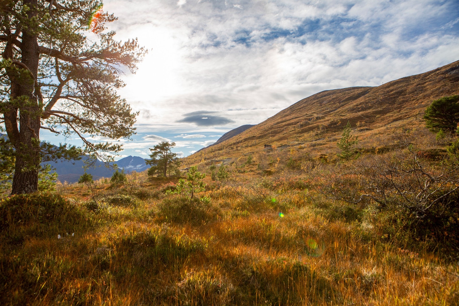 Bilde fra 2021 Galleribilde