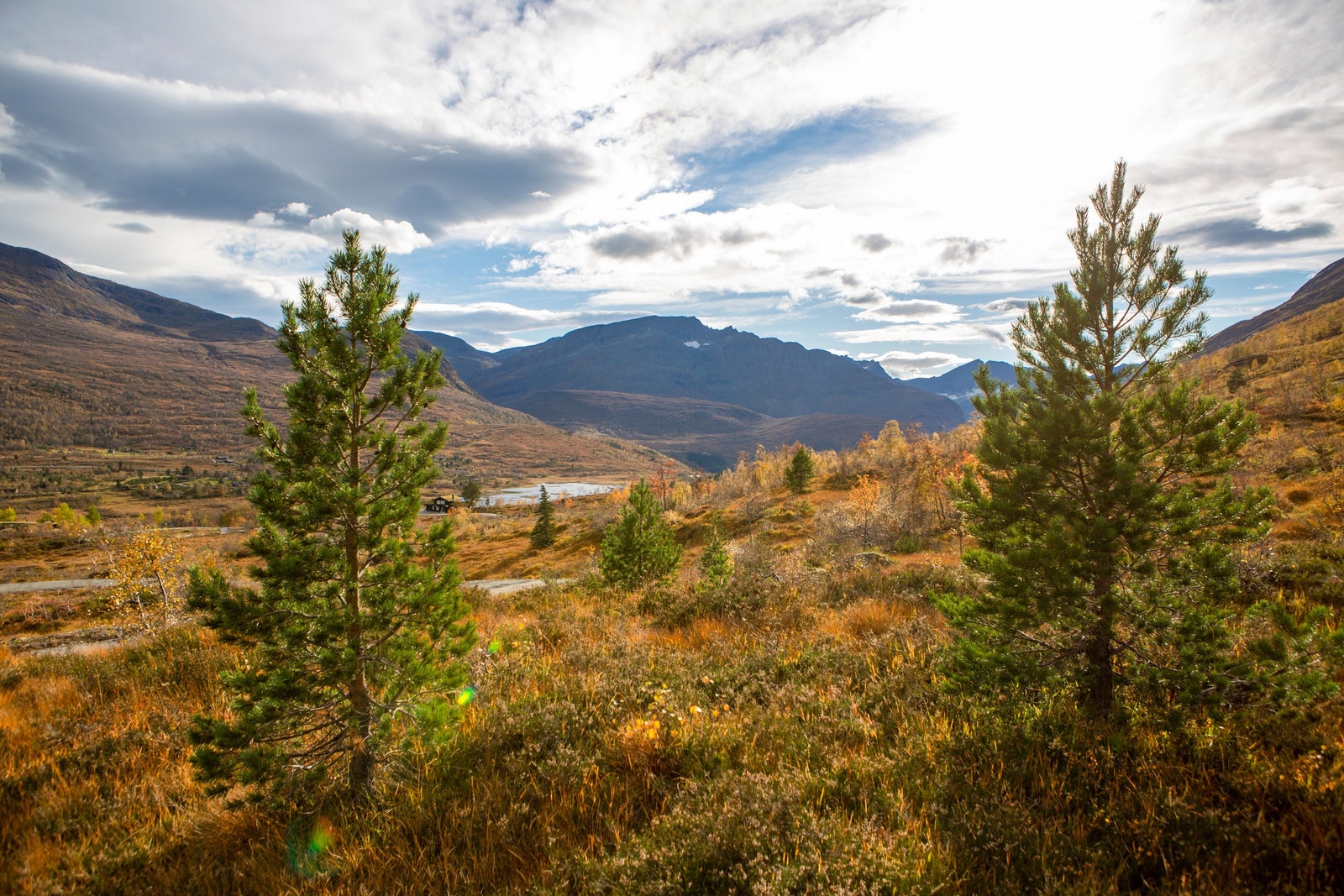 Bilde fra 2021 Galleribilde