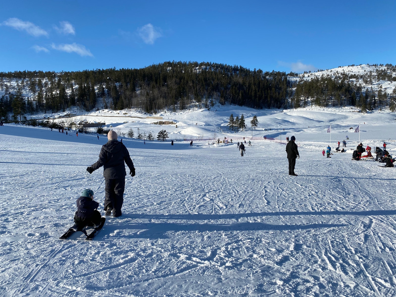 Gautefall alpinsenter, akebakke Galleribilde