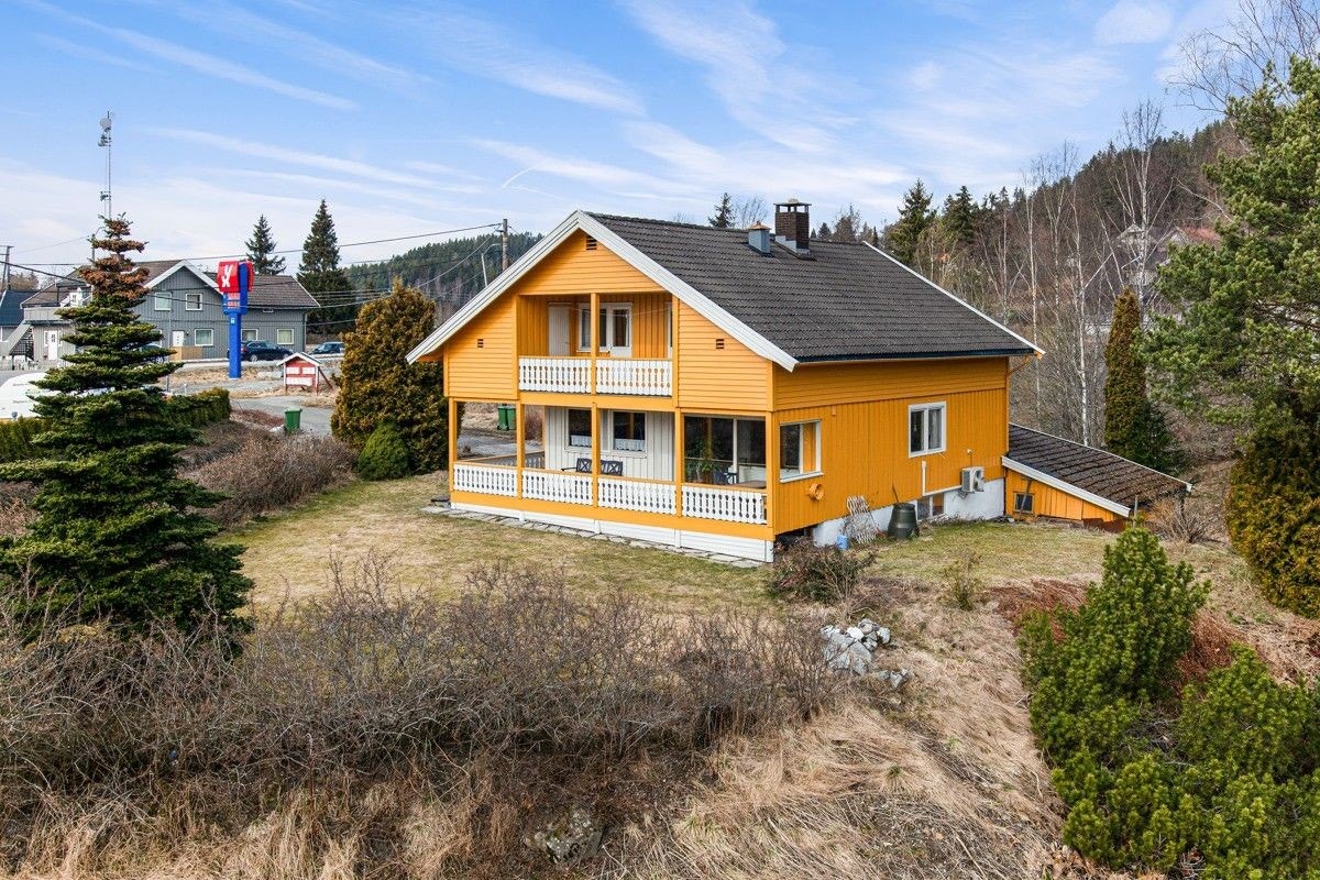 Oversiktbilde av huset Galleribilde