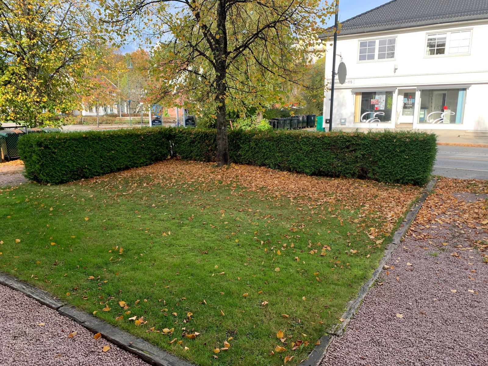 Hageflekk, grilling og hygge sommerstid! Galleribilde