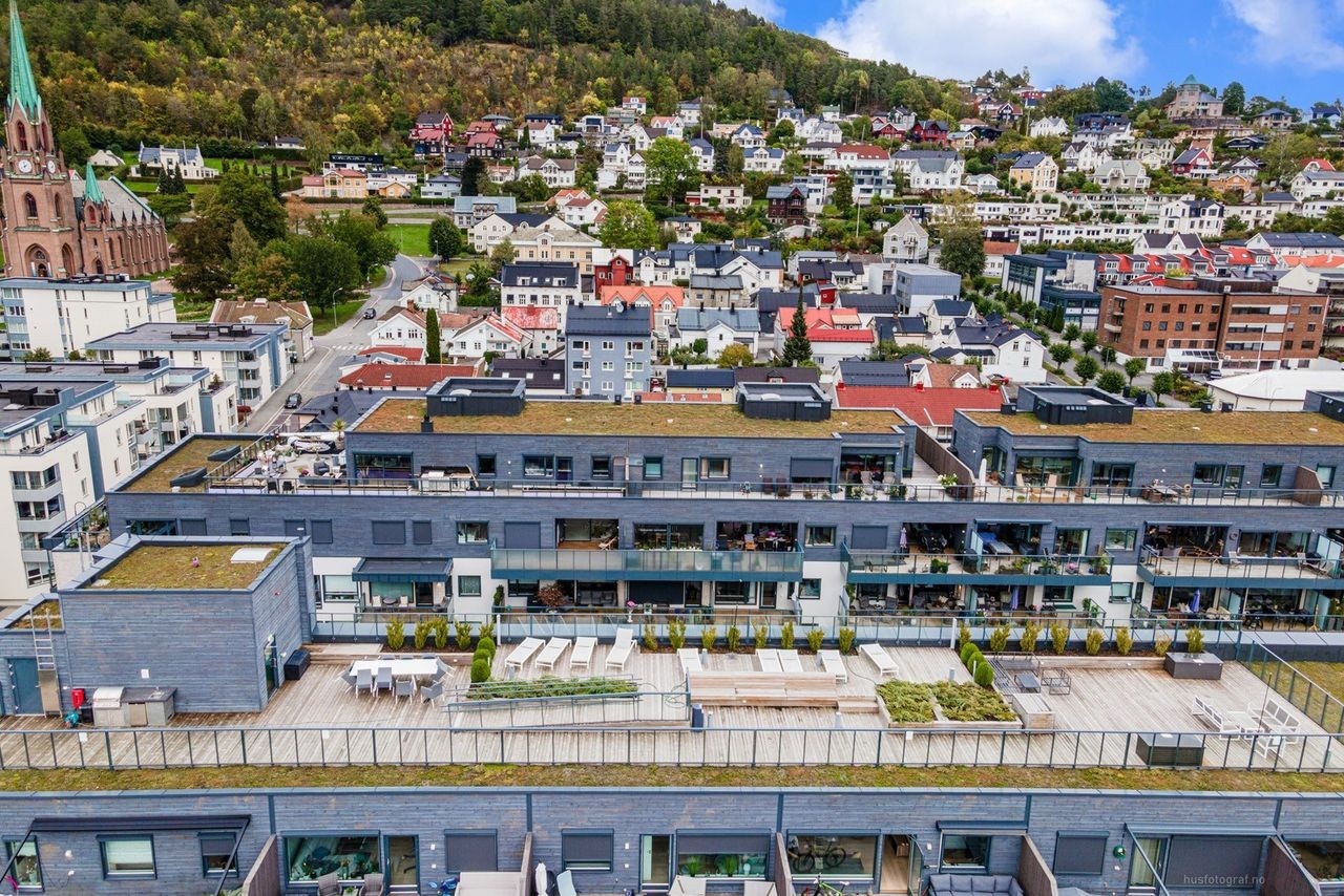 Takterrasse Galleribilde