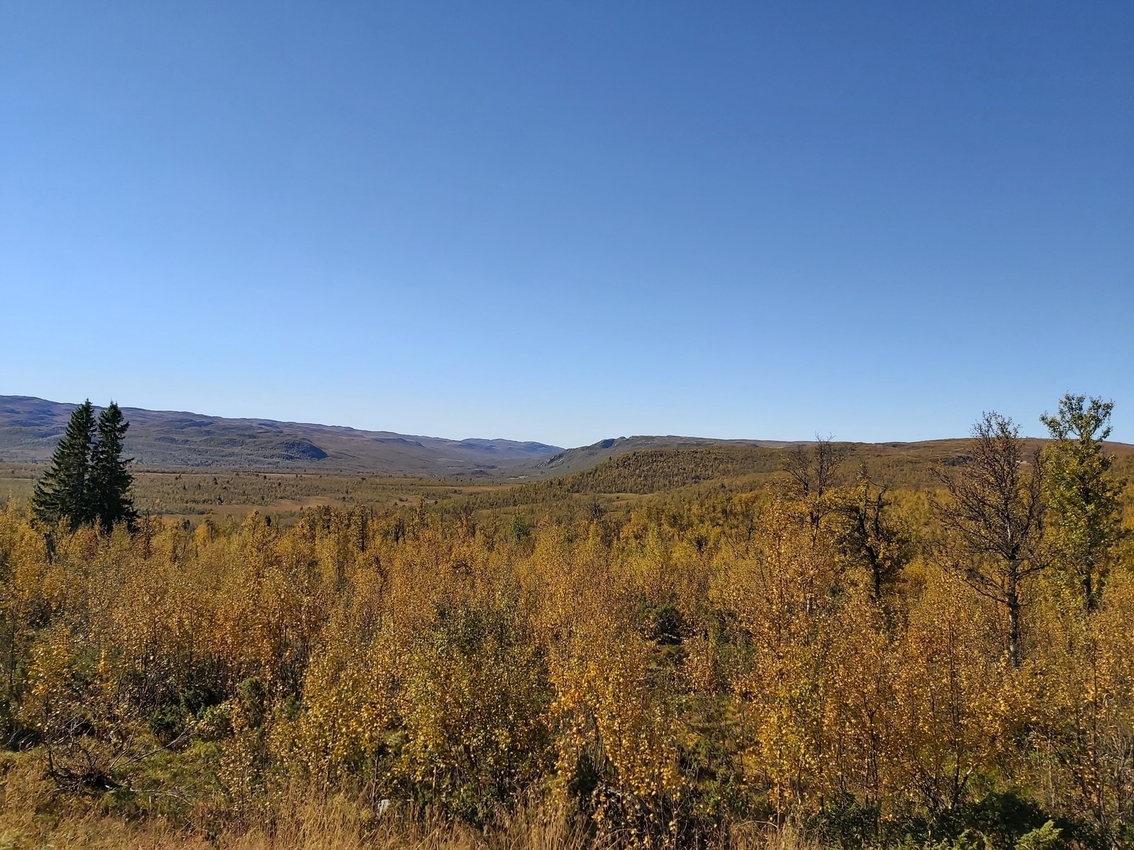 Utsikt tomt 14 og 13 Galleribilde