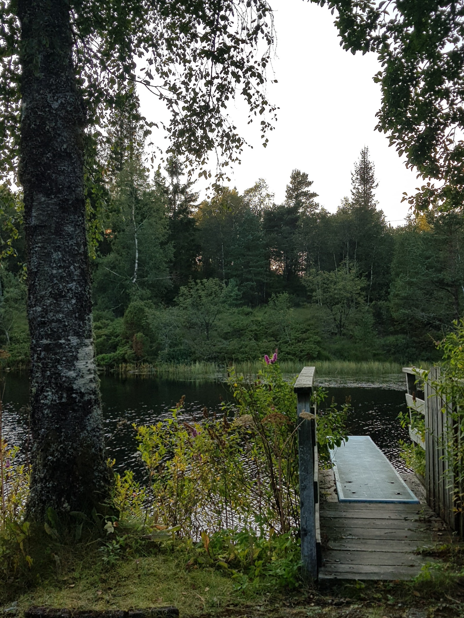 Badeplass i gangavstand Galleribilde
