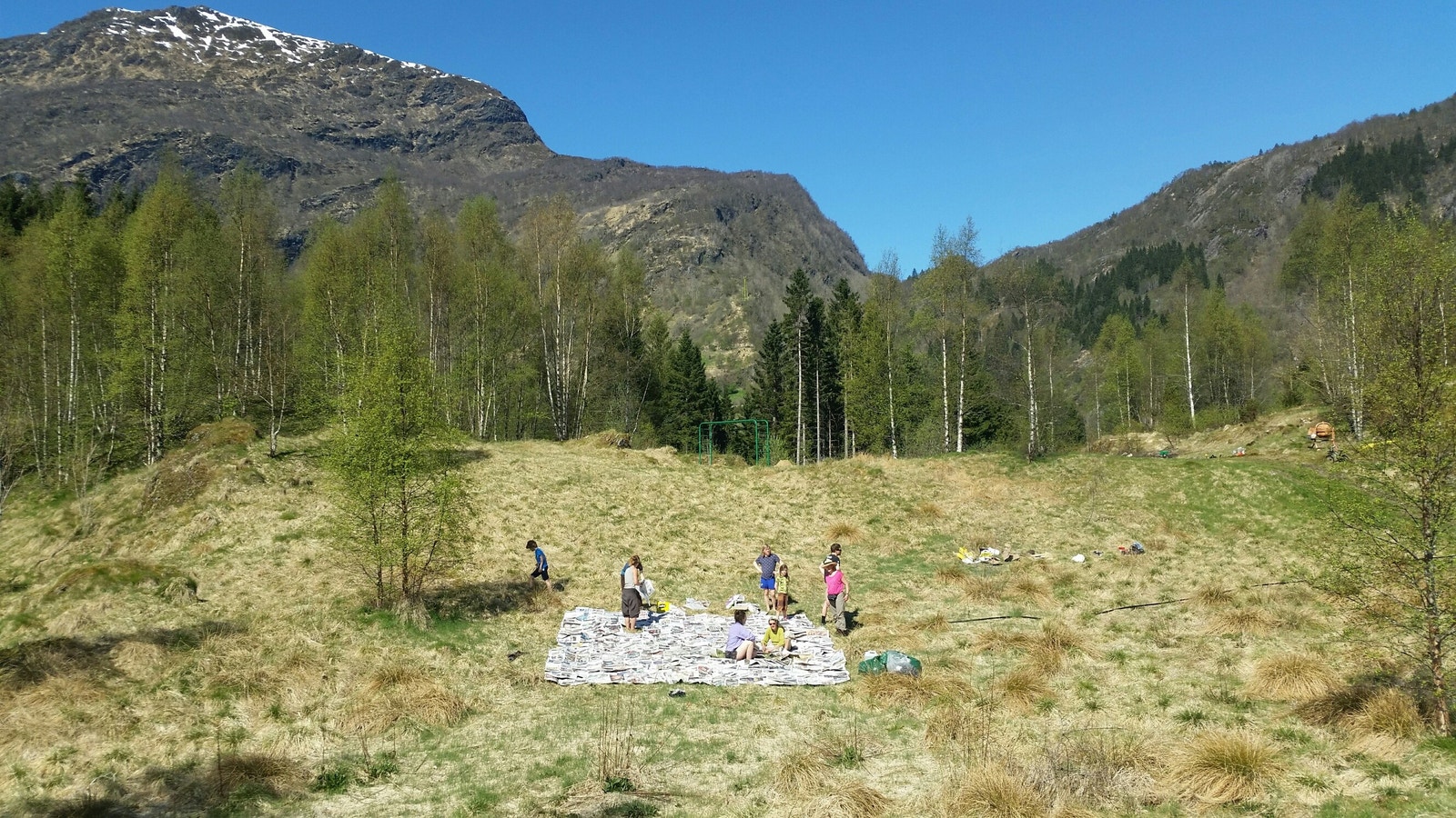 Potetsetting ved hjelp av jorddekke. På Neset Galleribilde