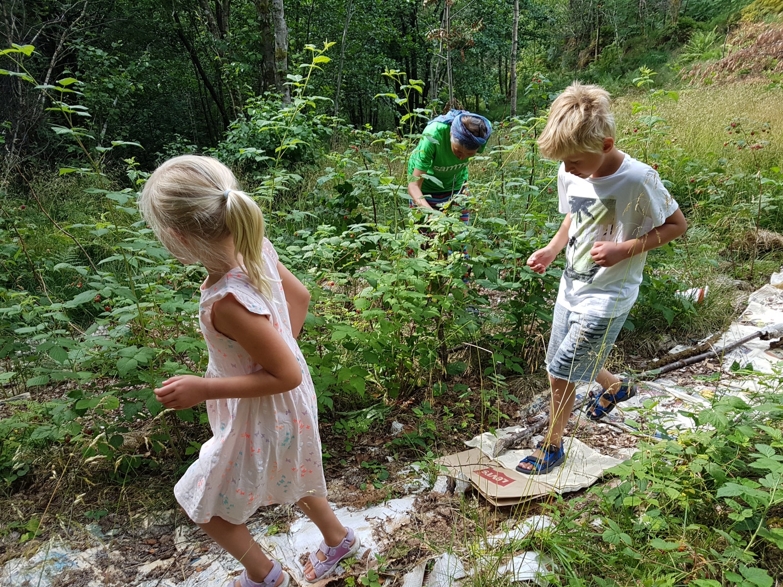 Aktivitet i hagen vår Galleribilde