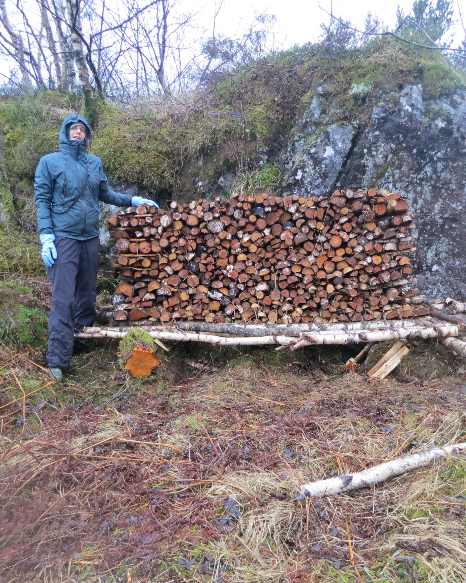 Vedstabel Galleribilde