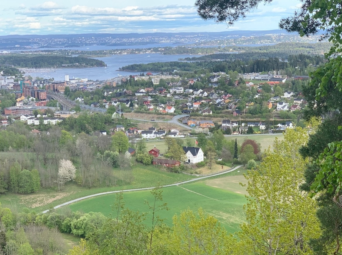 Gården, med jorder og turvei i forgrunnen, sett fra Tanumplatået. Galleribilde