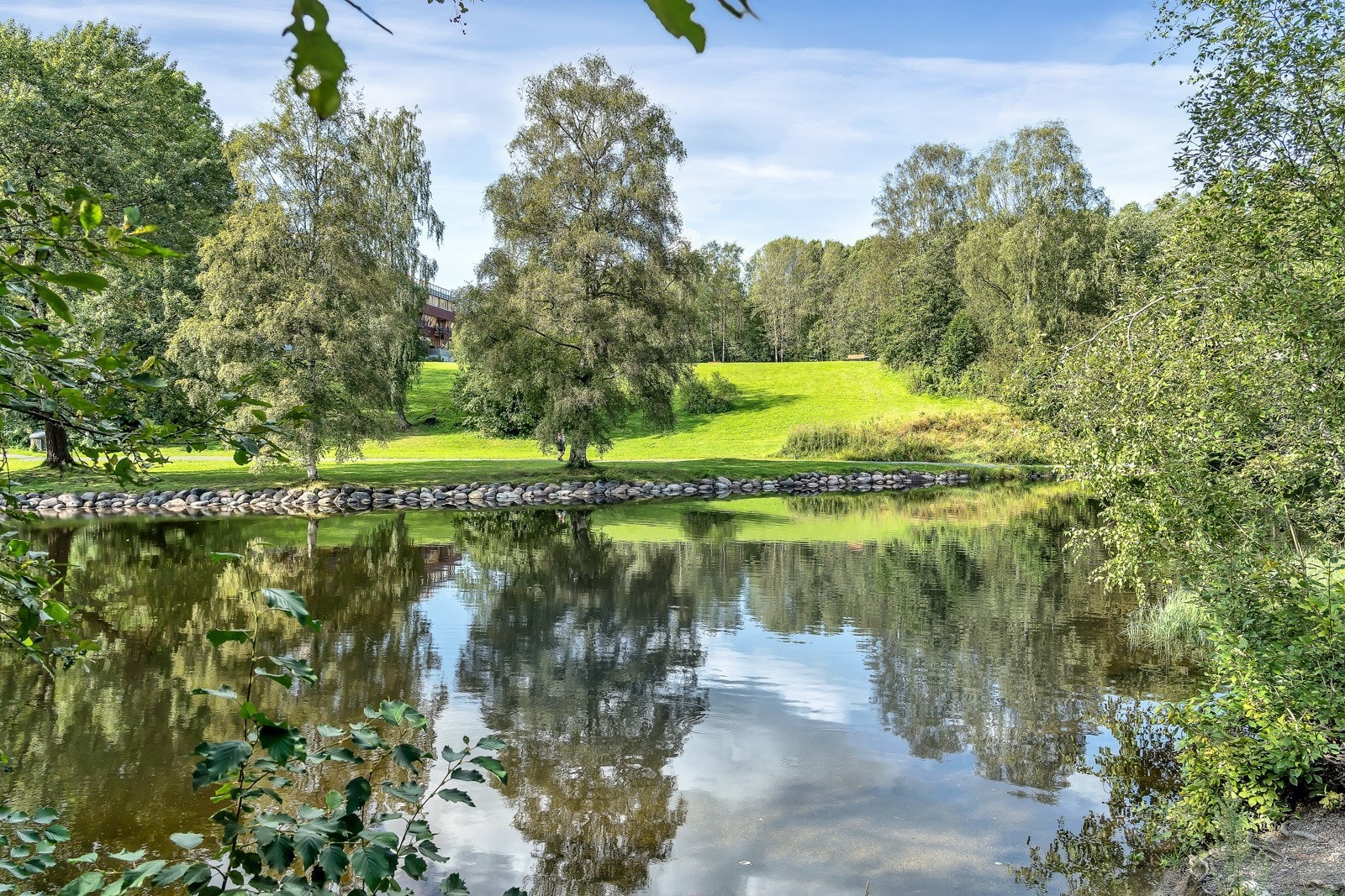 Frysja Galleribilde