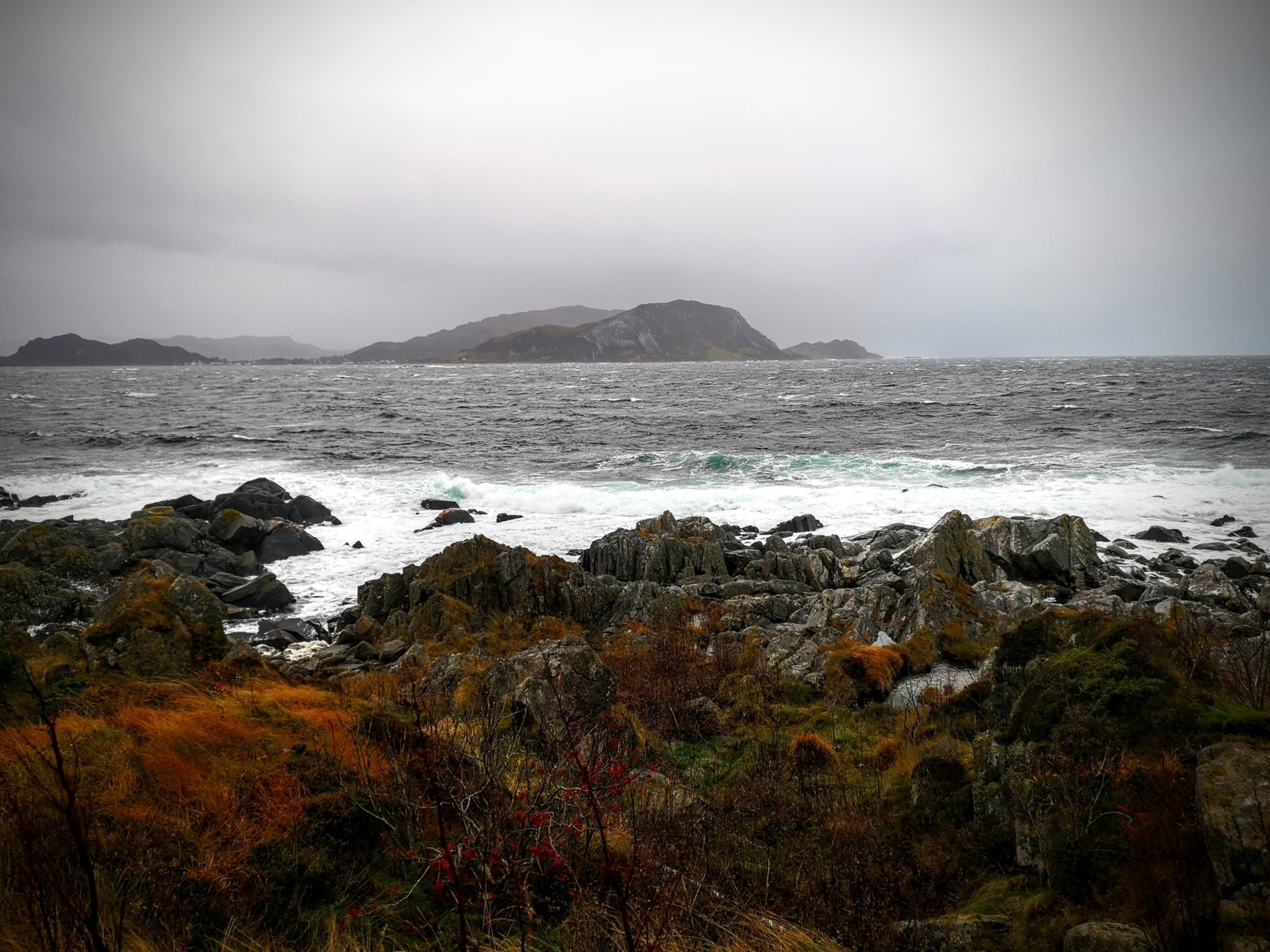 Bølger som bryt mot fjøra. Galleribilde