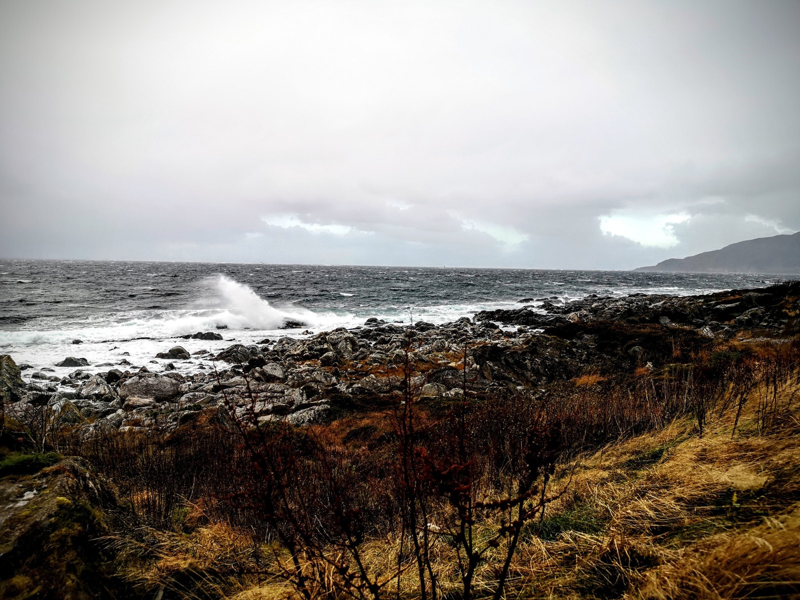Utsikt frå tomtene mot vest Galleribilde