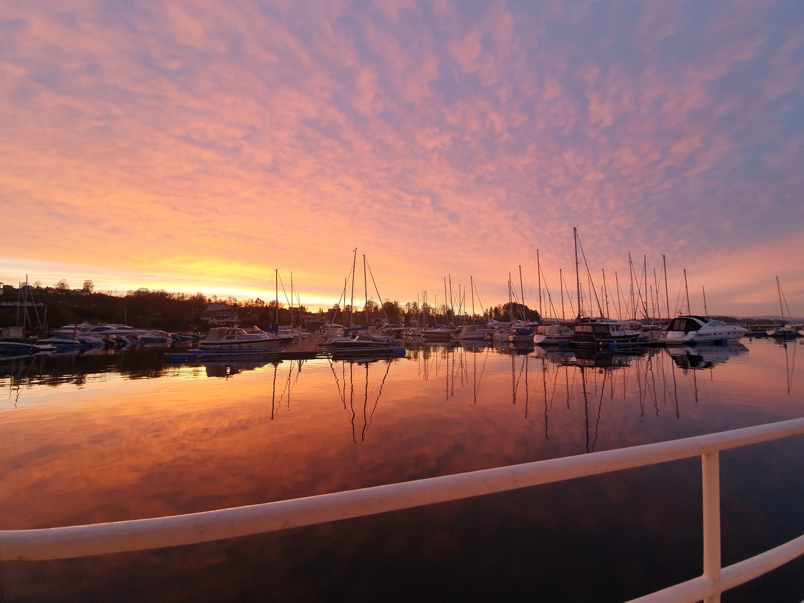 Fin utsikt fra båten Galleribilde