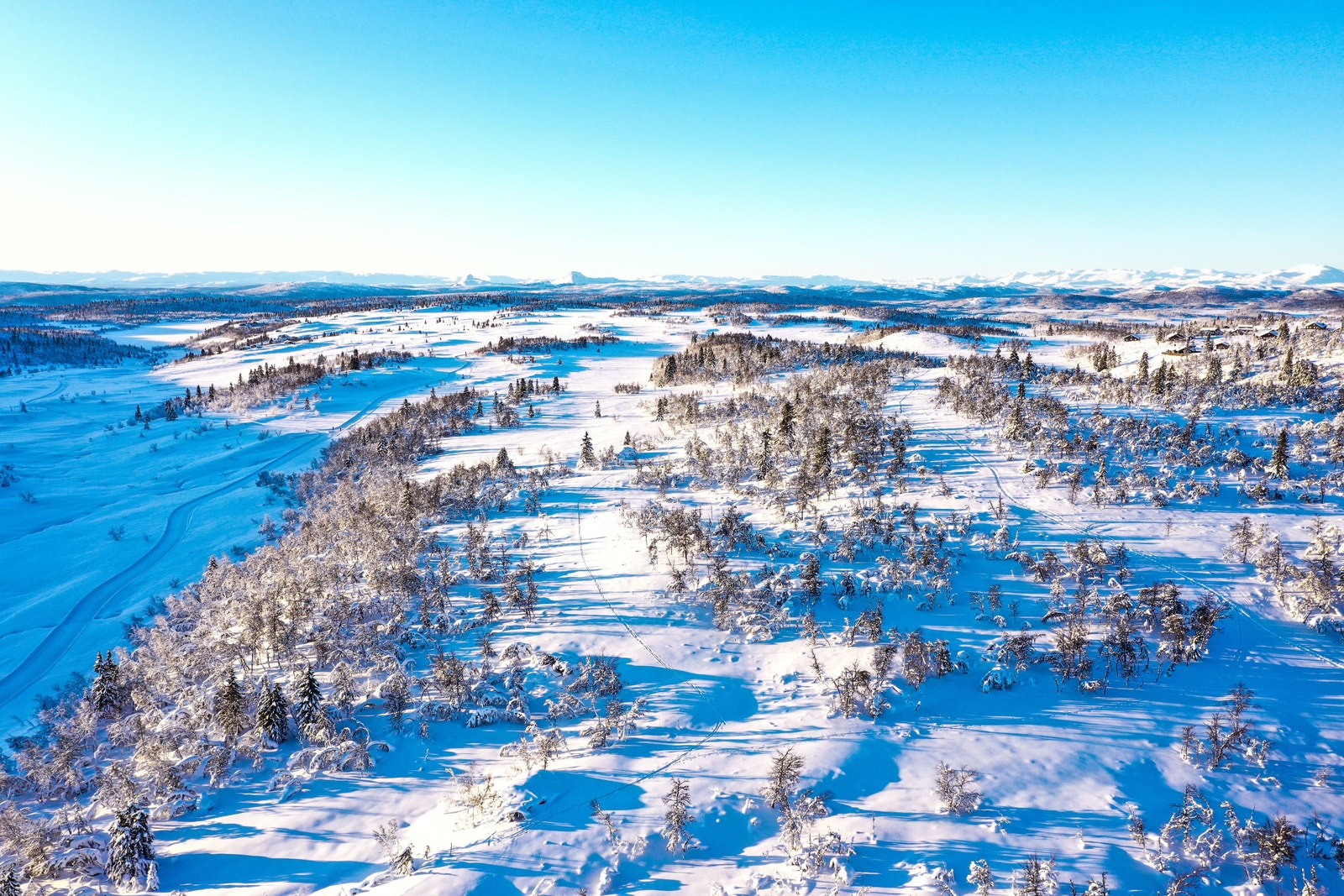 Idyllisk på Ølsjølitoppen Galleribilde