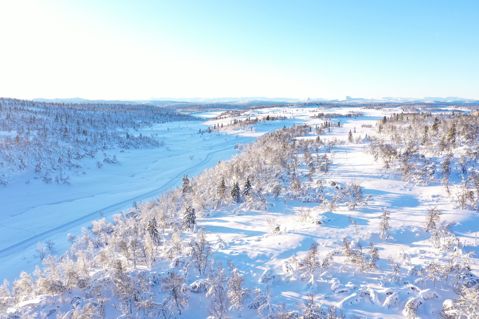 Idyllisk på Ølsjølitoppen Galleribilde