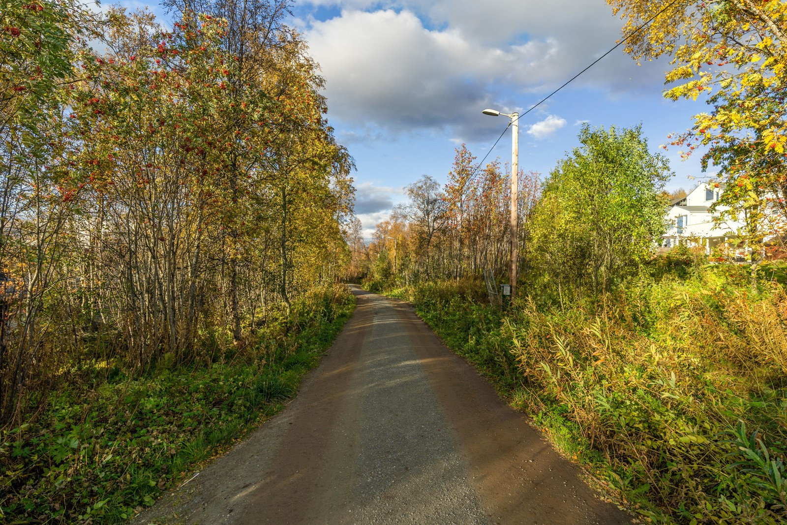 Flotte turmuligheter i nærområdet