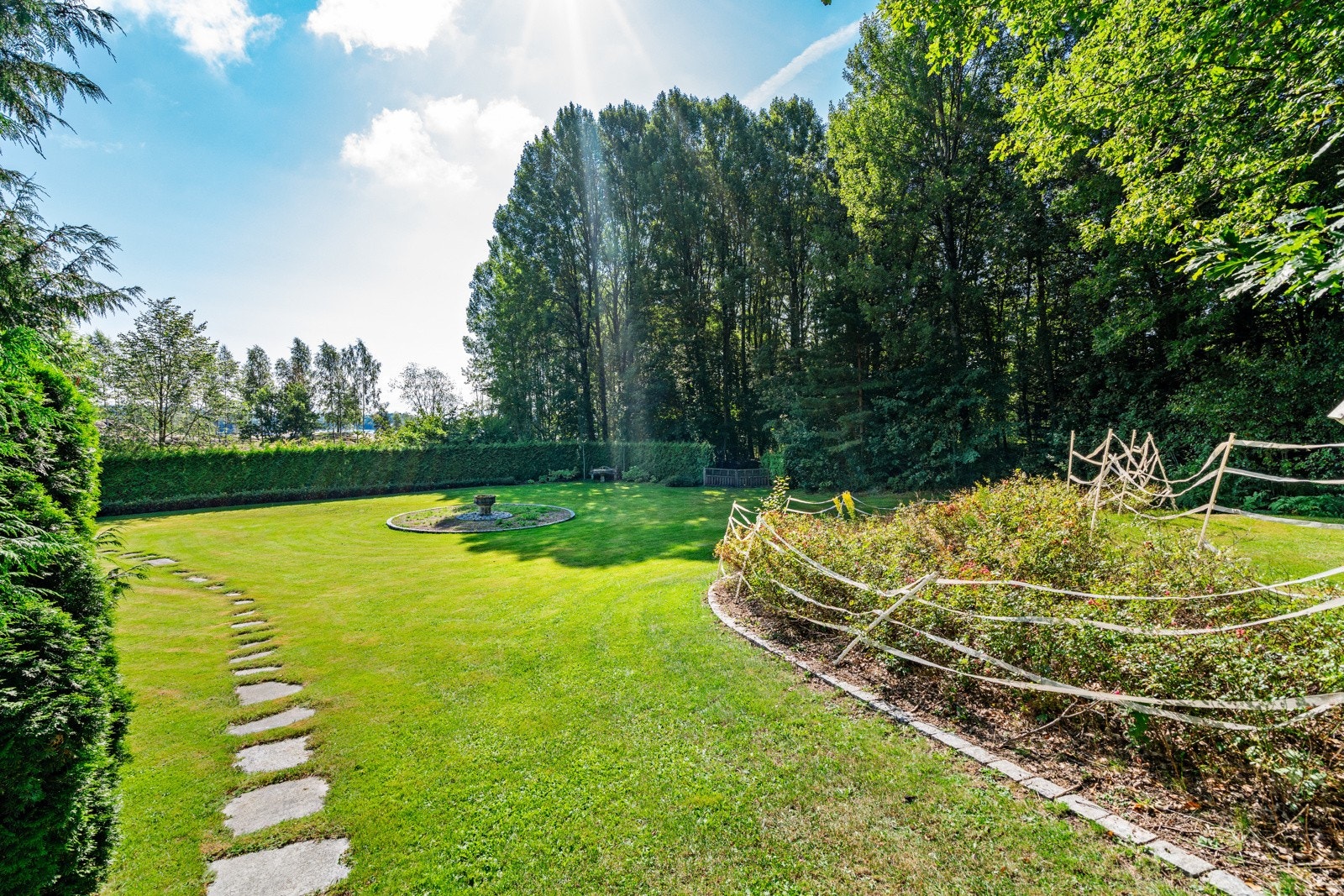 Del av hagen Galleribilde