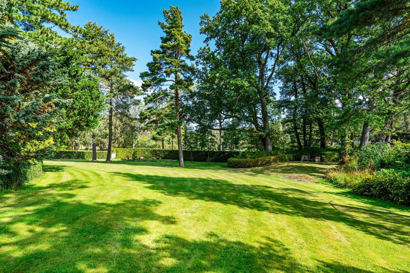 Del av hagen - med store plenarealer Galleribilde