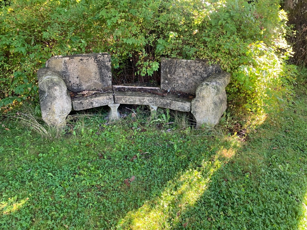 Fra del av hagen Galleribilde