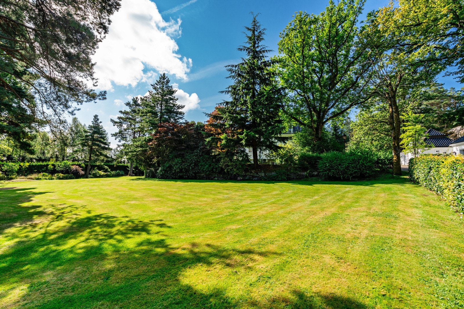 Del av hagen - med store åpne plenarealer Galleribilde