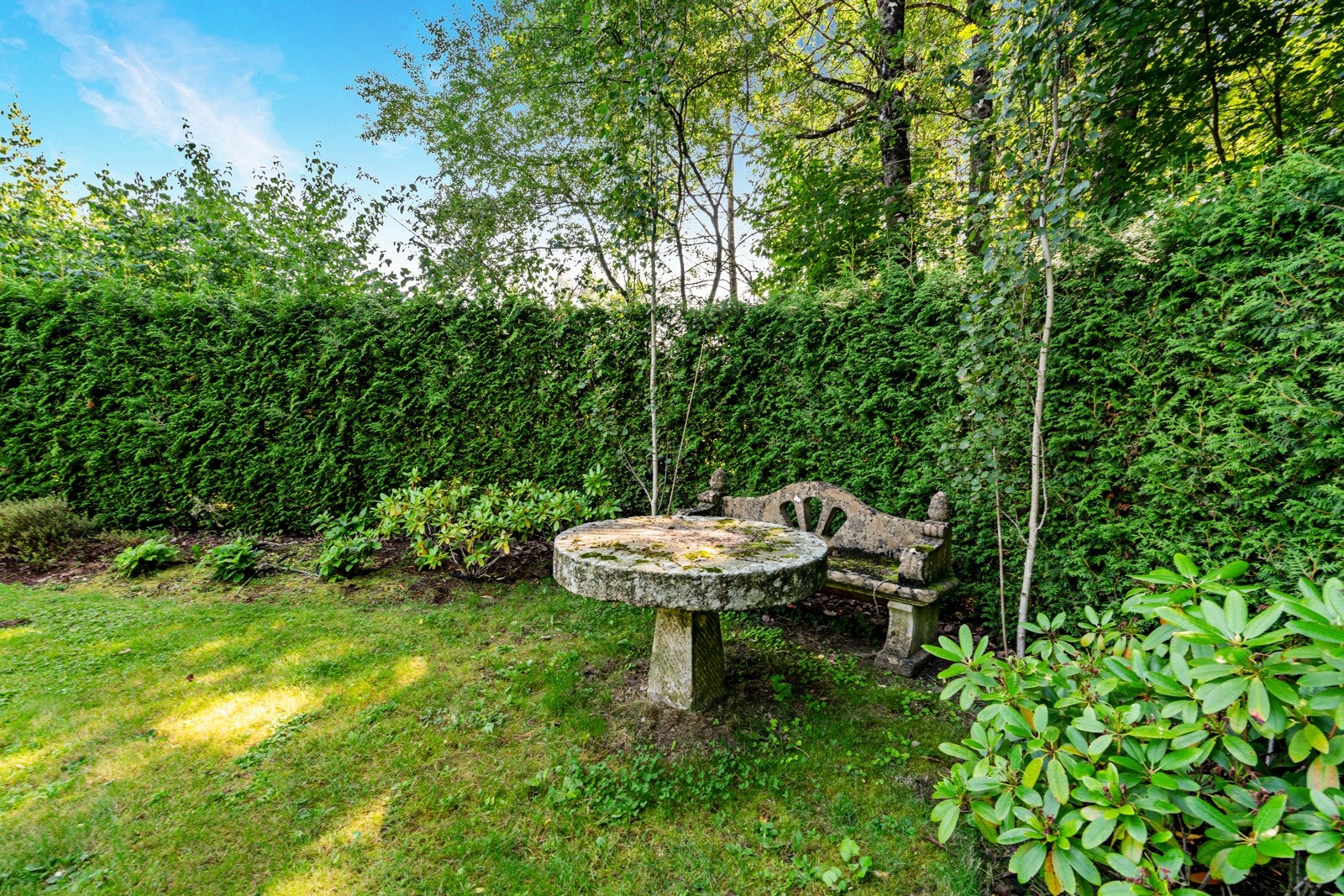 Fra del av hagen Galleribilde