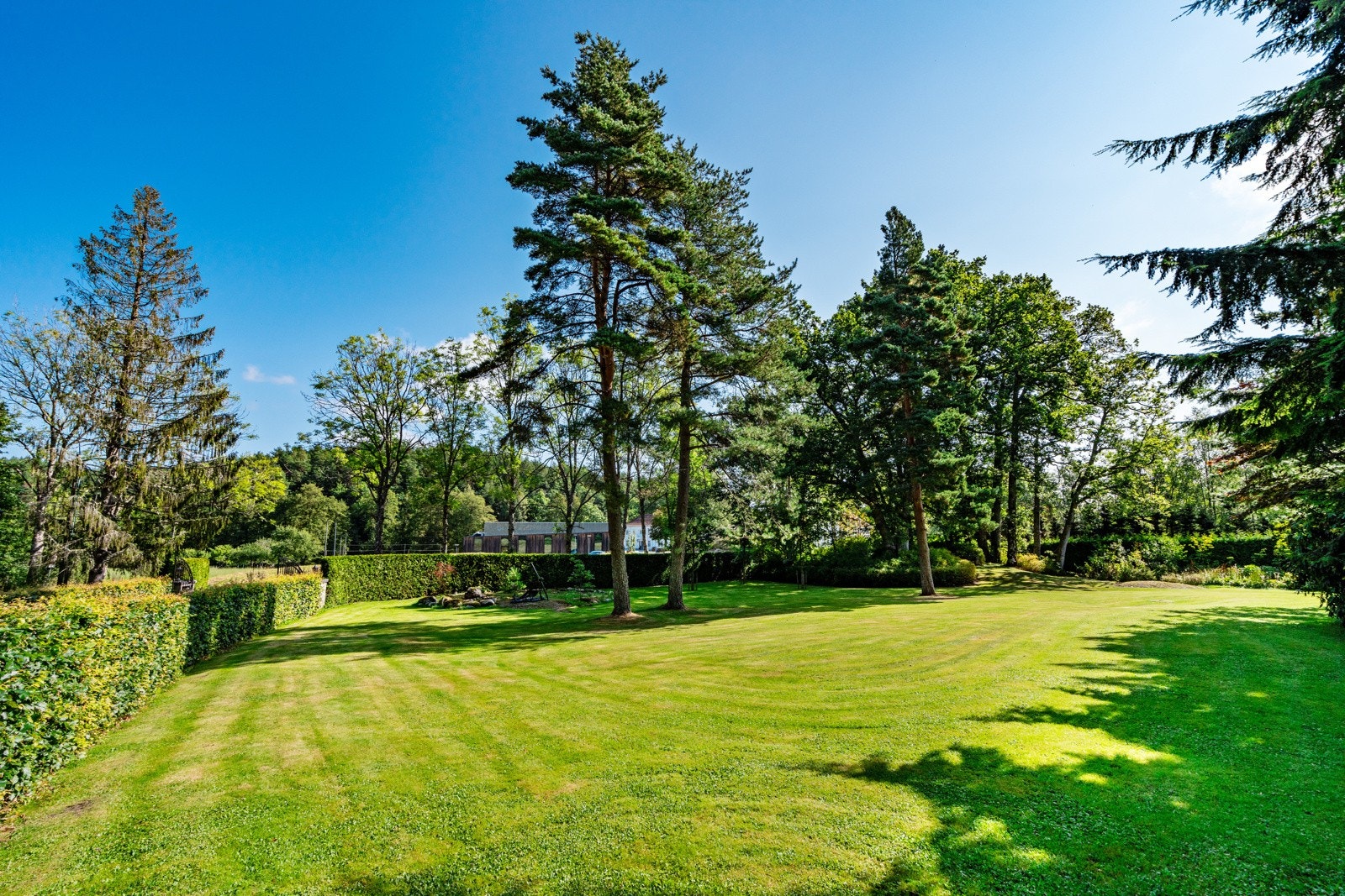 Nydelig hage med store plenarealer Galleribilde