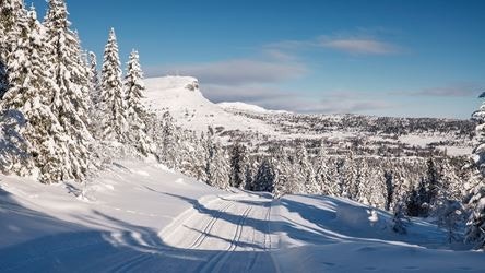 Langrenn i vakre omgivelser Galleribilde
